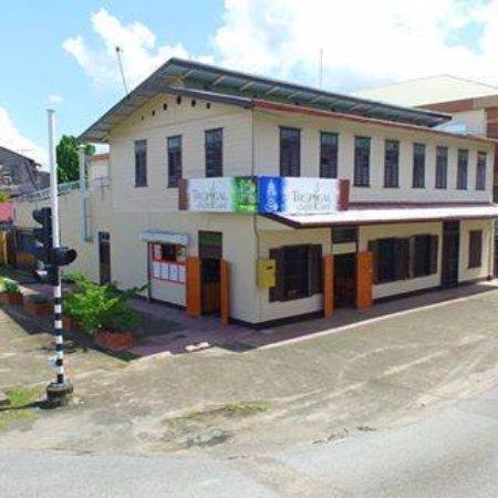 Tropical Jade By Night